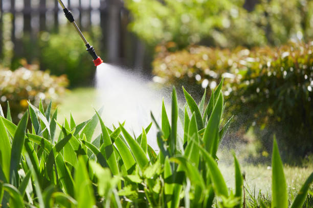 Tamper-Resistant Bait Stations for Rodents in North Myrtle Beach