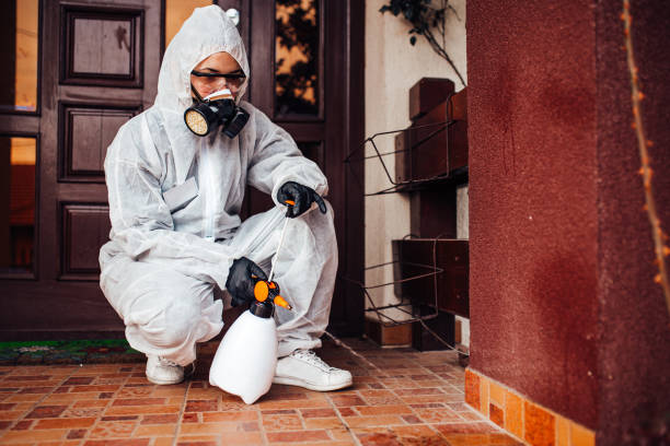 Attic and Crawl Space Rodent Treatment in North Myrtle Beach