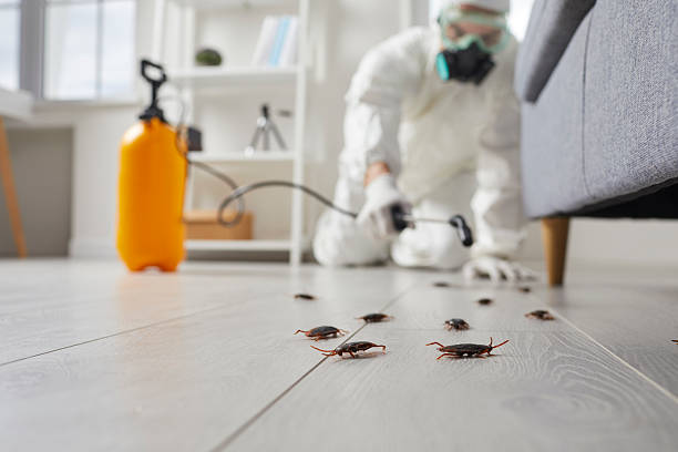 Commercial Rodent Management in North Myrtle Beach